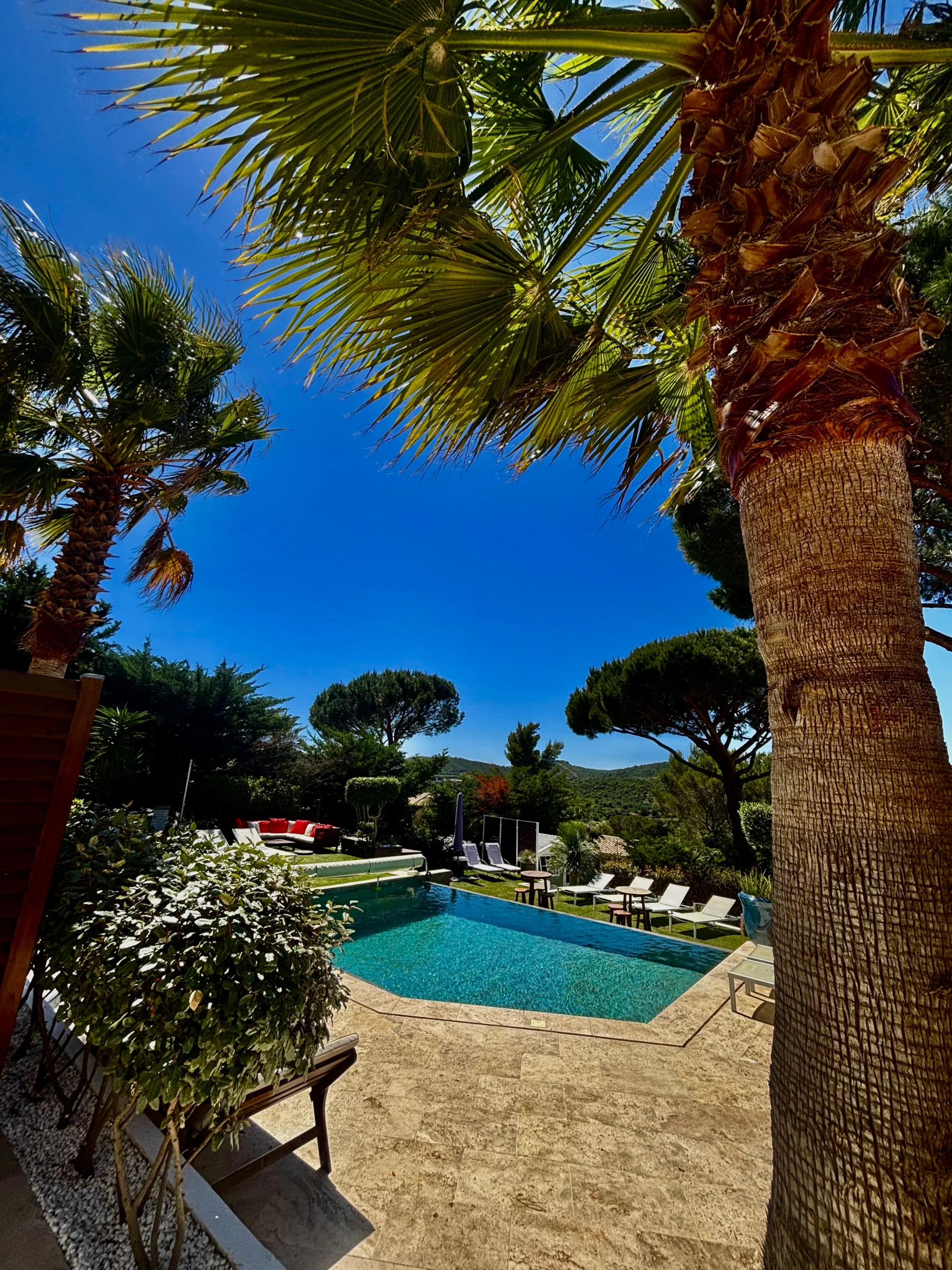 Arbre et piscine des gîtes HomeStay Bormes-les-Mimosas