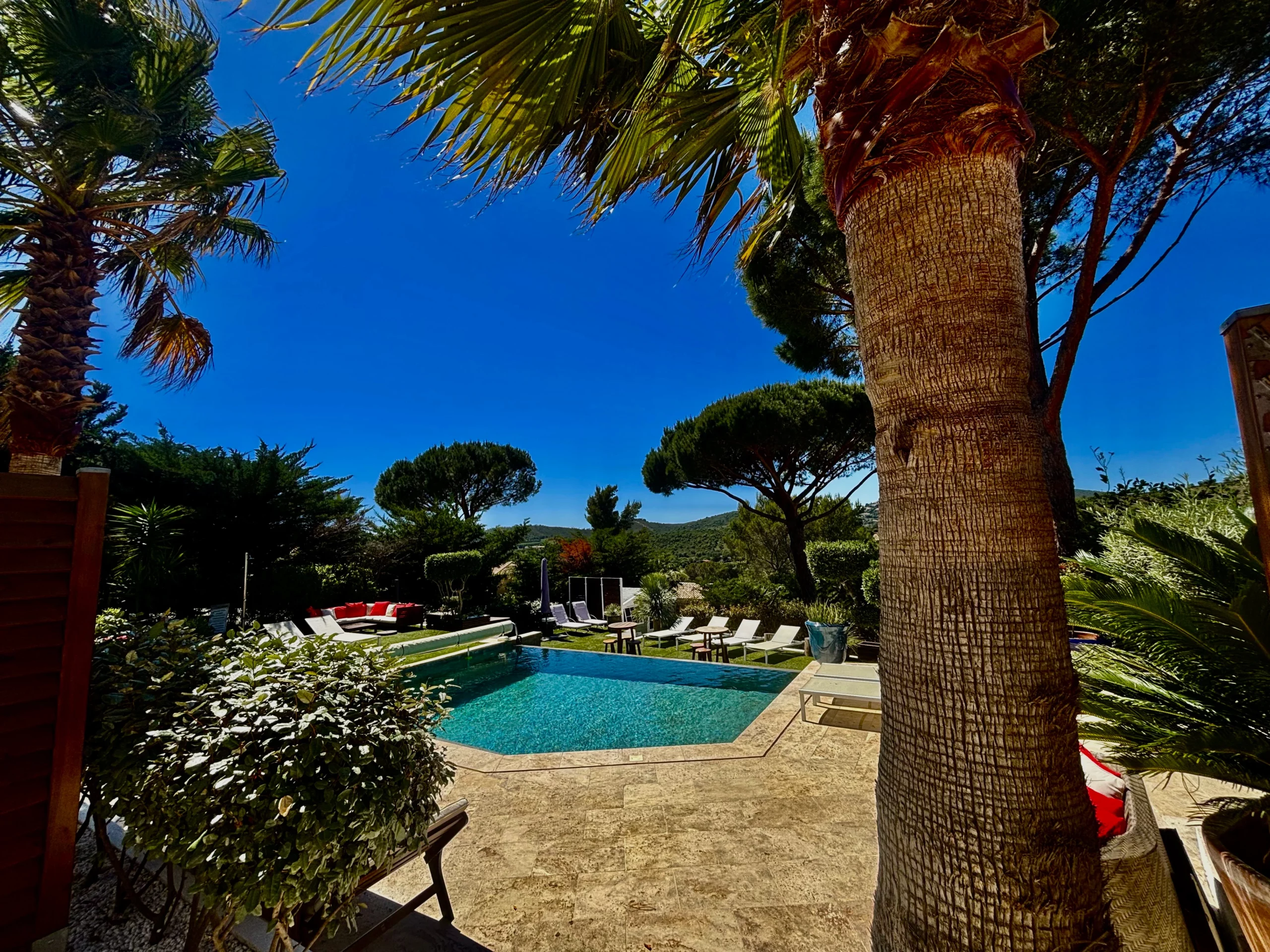 Arbre et piscine des gîtes HomeStay Bormes-les-Mimosas