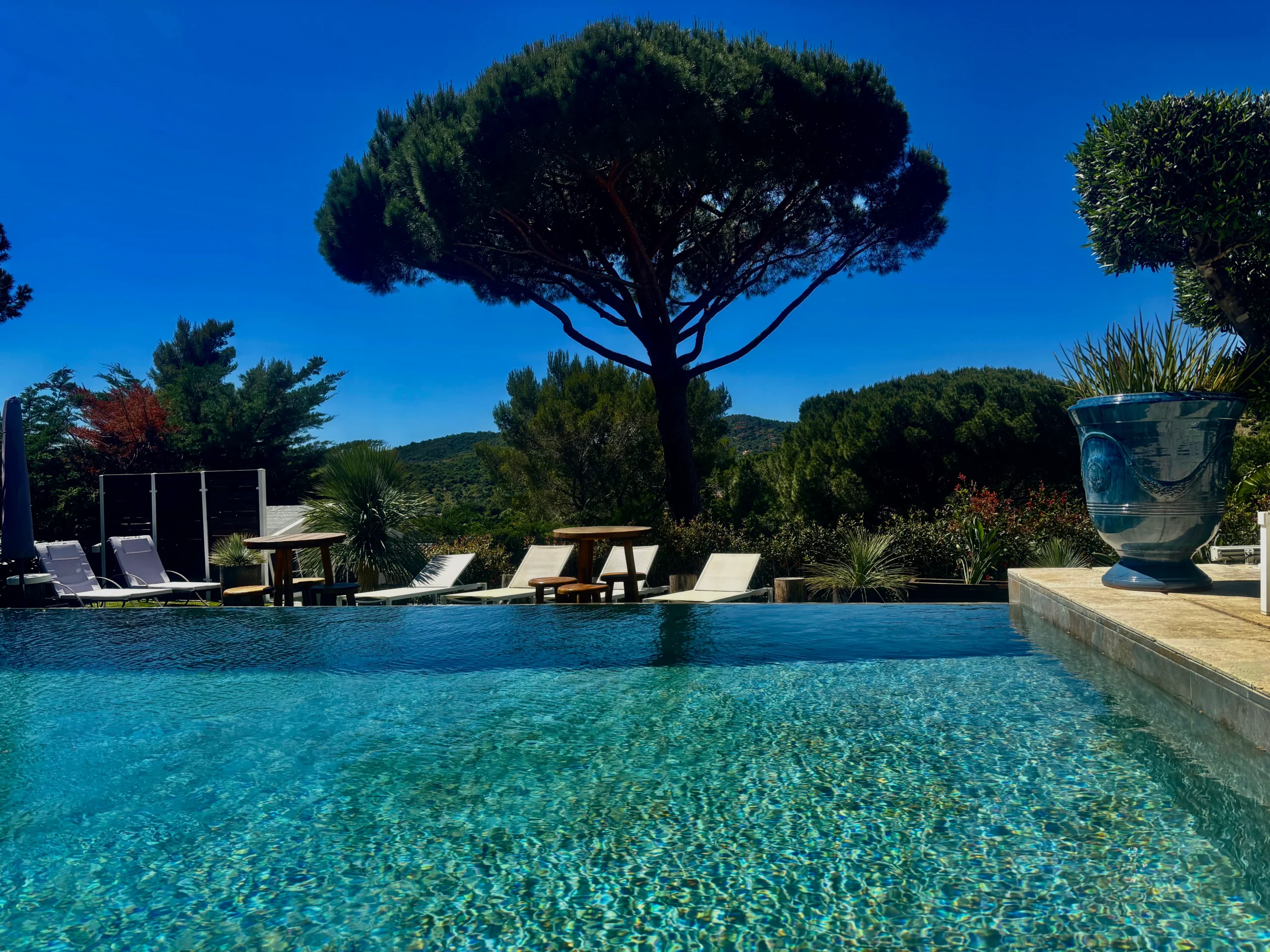 Arbres et piscine des gîtes HomeStay Bormes les Mimosas
